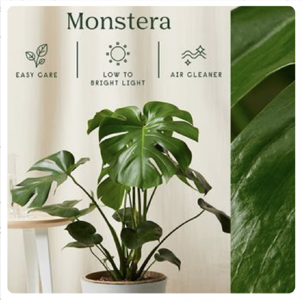 Ad example 35