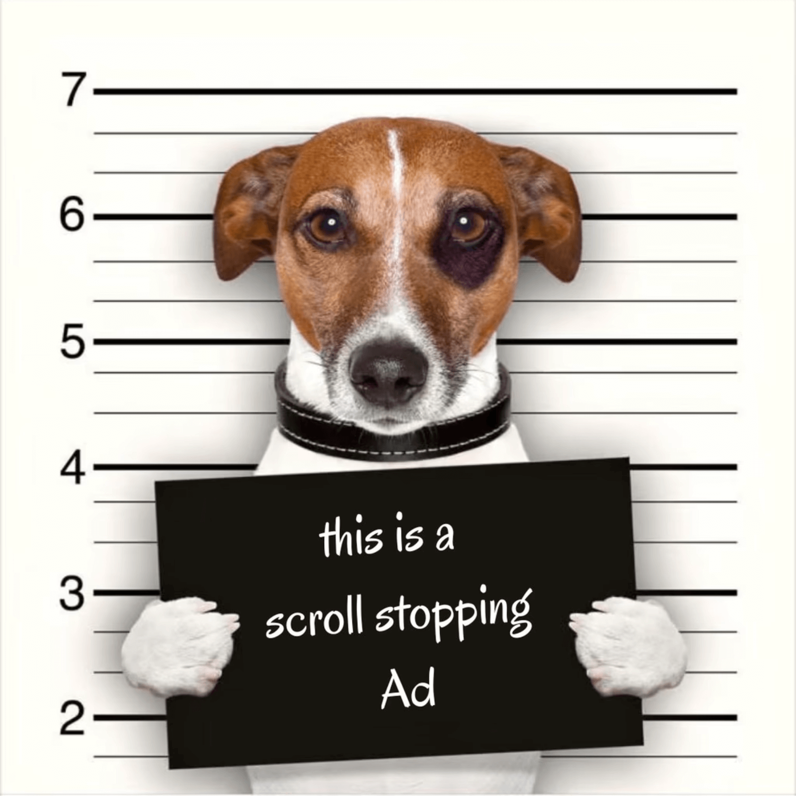 Ad with 7.2% CTR